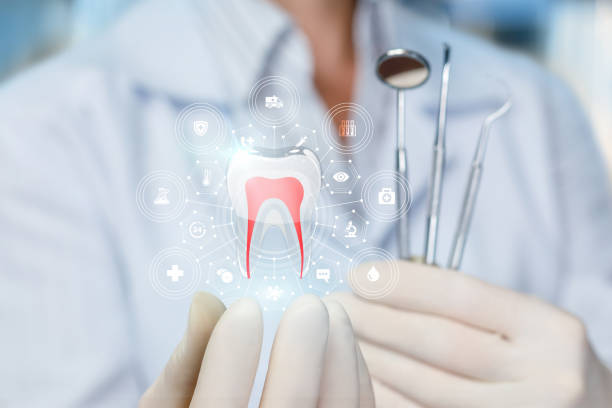 Muttontown, NY Holistic Dental Care Services Company